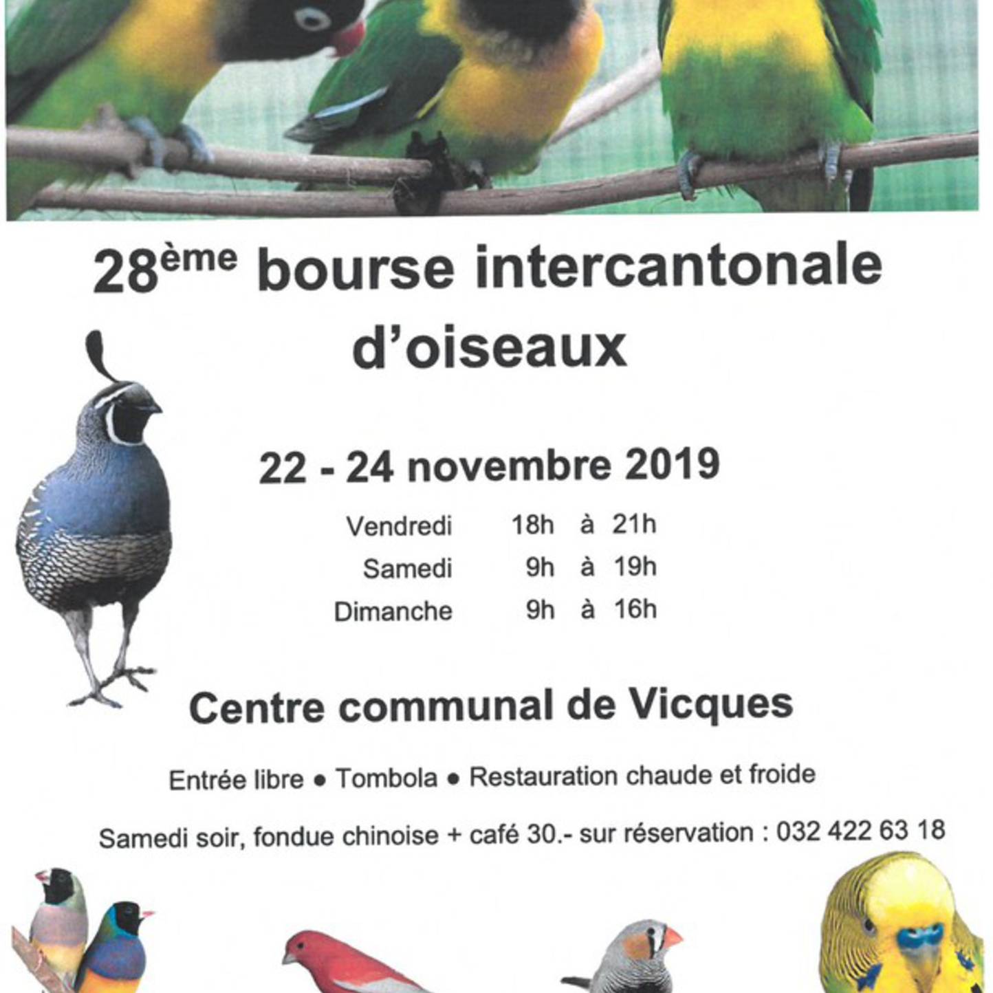 La Fauvette - Bourse aux oiseaux