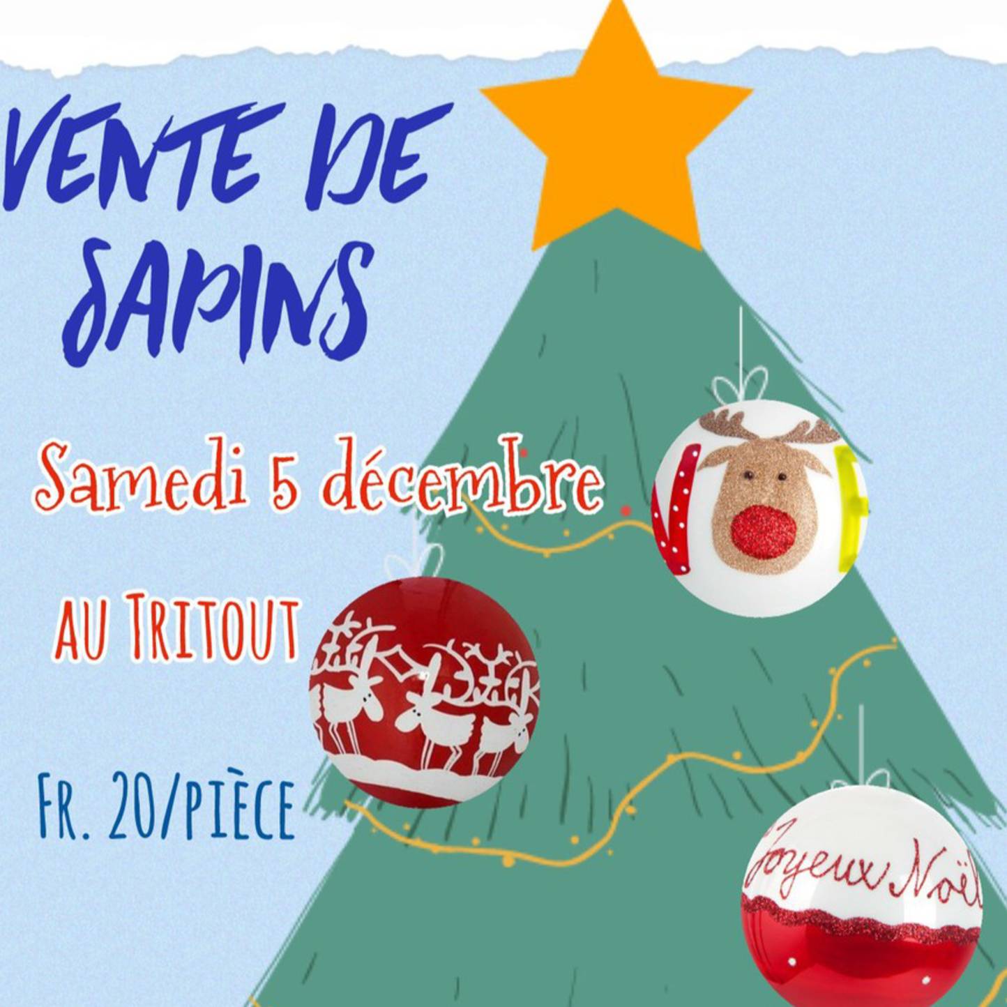 Vente de Sapins de Noël