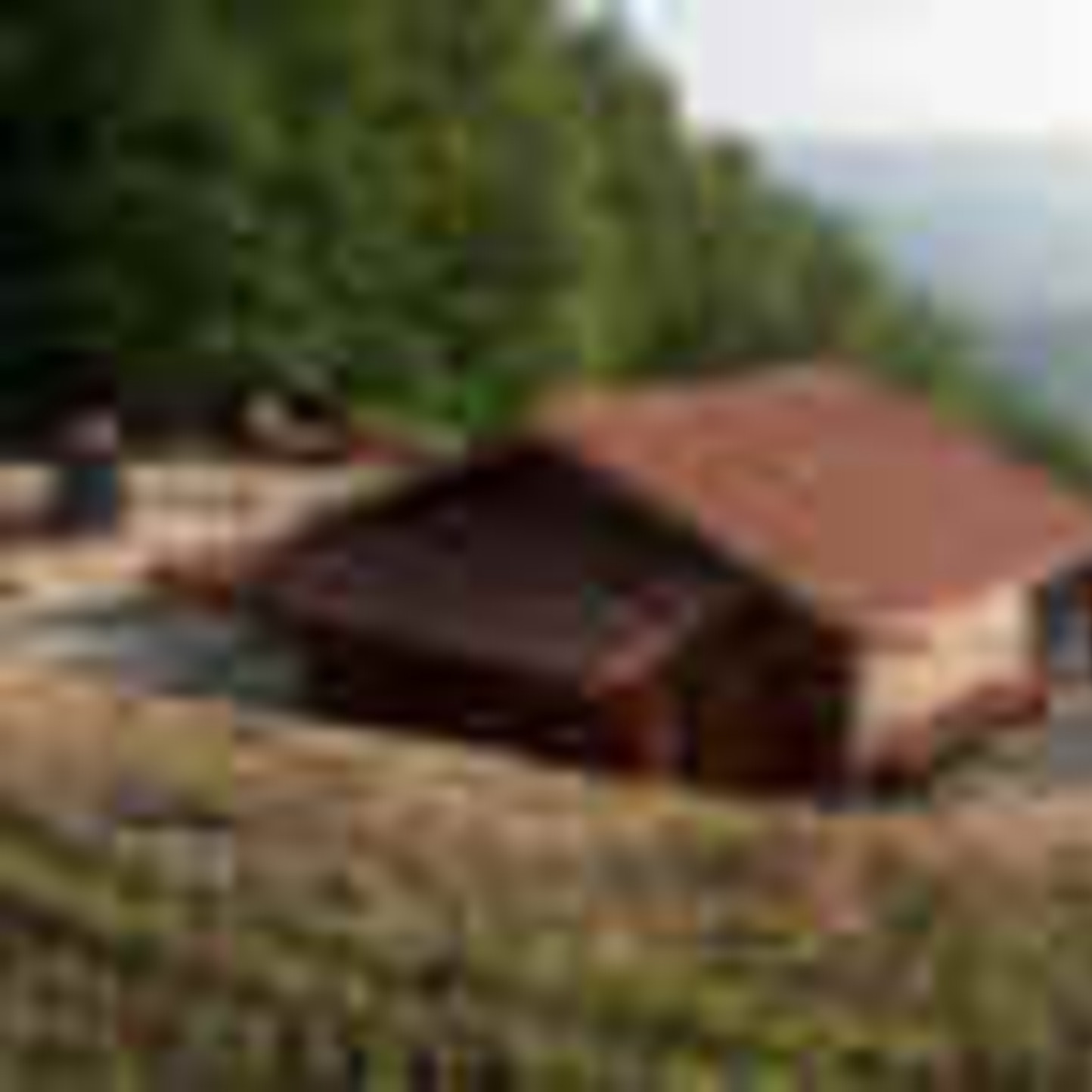 Cabane