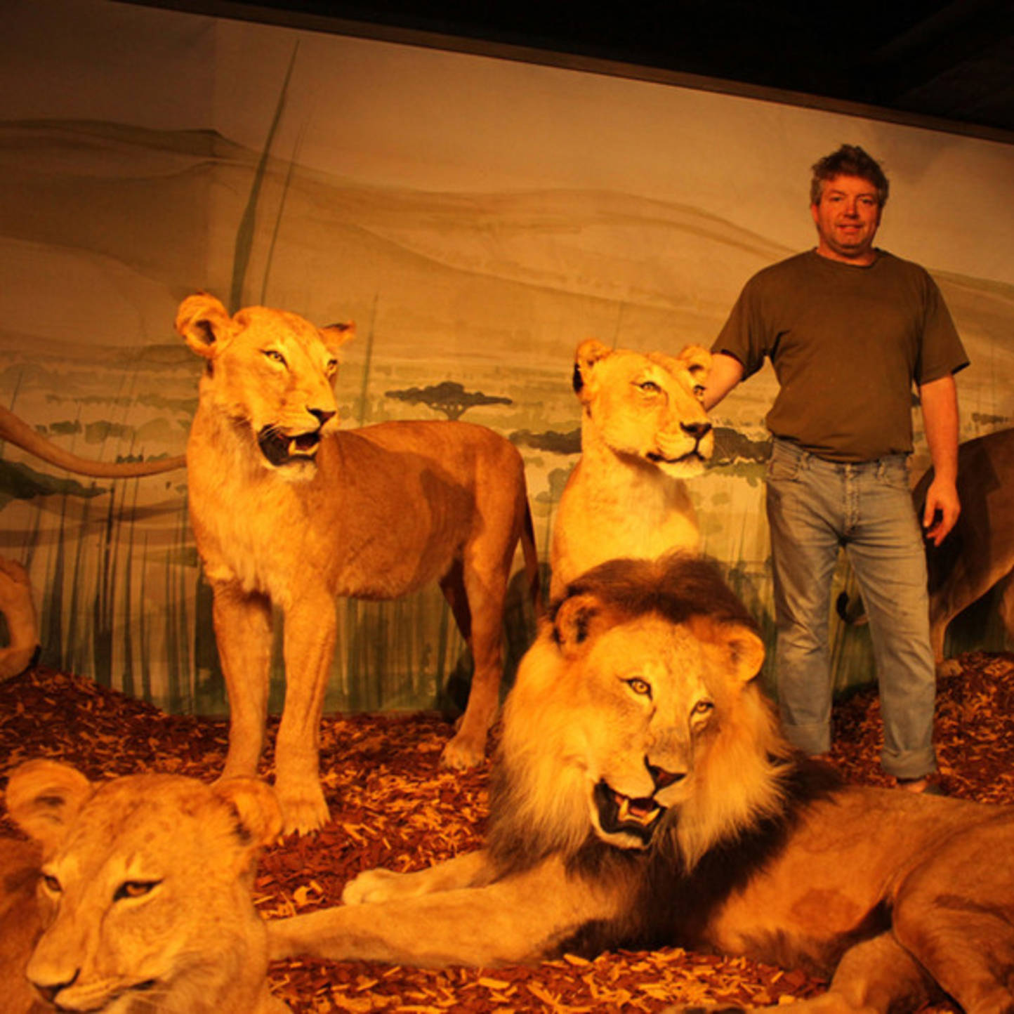 Musée de taxidermie