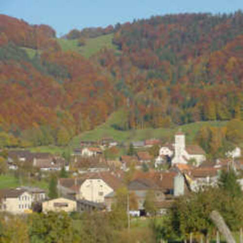 Exploitation des forêts