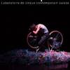 LABO'Cirque, Artistes des écoles de cirque suisses