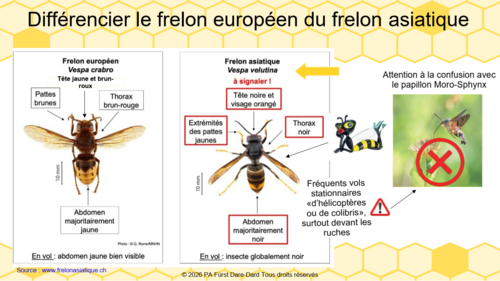 Comment l'identifier ?